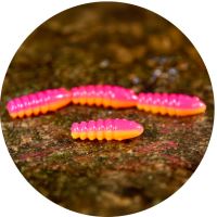 RedBass Gumová Nástraha Trout Grub Tutti Frutti UV COLOR - 3x25 mm