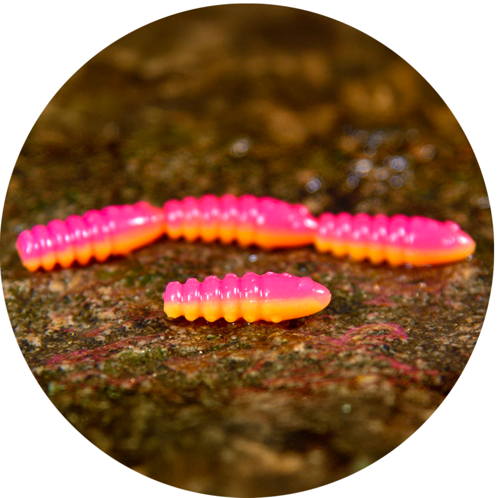 E-shop Redbass gumová nástraha trout grub tutti frutti uv color - 3x33 mm