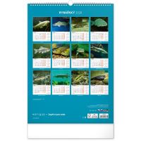 PGCZ Nástenný Rybársky Kalendár 2026 CZ 33x46 cm (1)