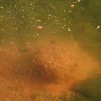 Chytil Krmíková Zmes 1 kg (1)