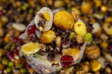 My-Baits Partikel Party Mix "High Impact" 2 l (2)