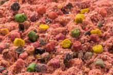 Mivardi Krmítková Zmes R1 Carp 950 g (2)