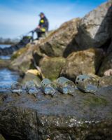 Matrix Krmítko Plastic Open Ended Feeder XS (11)