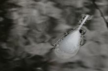 Korda Plavák Surface Float (3)