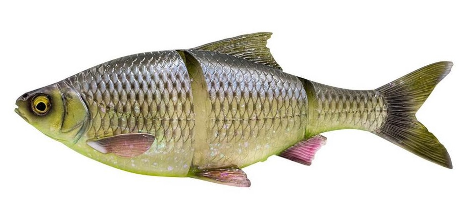 E-shop Savage gear gumová nástraha 3d line thru roach slow sinking hugo - 32 cm 420 g
