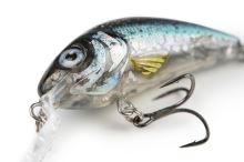 Salmo Wobler Rattlin Hornet Shallow Runner Clear Holo Smelt (4)