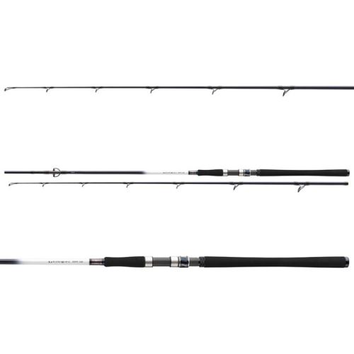 Daiwa Prút Grandwave Cod 2,4 m 150-300 g 2 Diely