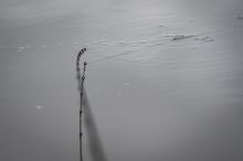 Matrix Prút Ethos XR S Feeder Rods 3,5 m 35 g (16)