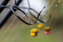 Mainline Plávajúce Boilie Pop Up Quads Cell 10 mm (5)