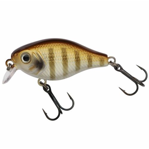 Berkley Wobler Pulse Fry Shallow Goldie 3,8 cm 4,5 g