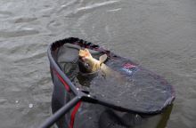 Dam Podberáková Hlava TACT-X Landing Net Carp - 65x55x37 cm (1)