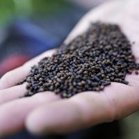 Munch Baits Pelety Salmon Micro Pellets 2 l (2)