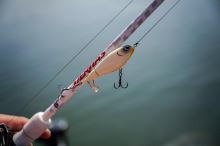 Berkley Wobler Choppo Ghost Bluegill (4)