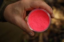 Nikl Powder Dip 60 g - Giga Squid (3)