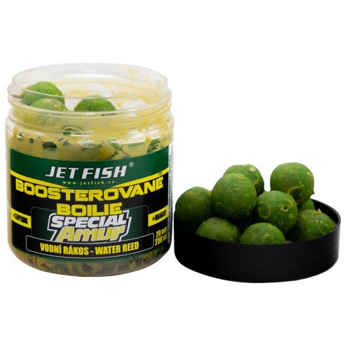 Jet Fish Boosterované Boilie Special Amur Vodní Rákos 120 g 20 mm