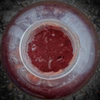 Munch Baits Booster Raw Krill 500 ml (1)