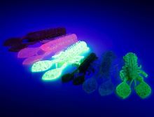 Fox Rage Gumová Nástraha Floating Creature Crayfish UV Green Pumpkin (1)