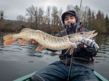 Fox Rage Gumová Nástraha Wobble Replicant Bright Perch UV (1)