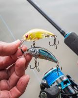 Salmo Wobler Rattlin Hornet Shallow Runner Clear Ayu (5)