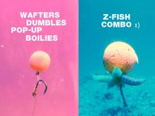 Zfish Trn Bait Spike Silicone Holder 10 ks (4)