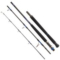 Daiwa Prút Saltiga AP 2,55 m 50-160 g (1)