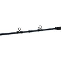 Daiwa Prút Tanacom Ultra Deep 2,1 m 400-1000 g (3)