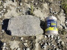 Black Cat Šnúrka Stone Rig Line 70 m 3,2 mm (5)