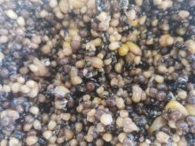 Vitalbaits Partikel Prepared Particles Mix Bucket 3 kg (1)