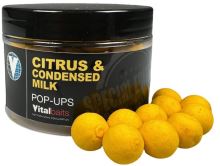 Vitalbaits Pop-Up Citrus & Condensed Milk Yellow (2)