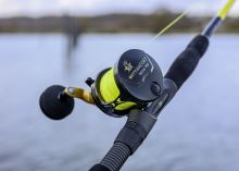 Black Cat Multiplikátor Battle Cat Vertical (5)