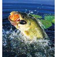 PGCZ Nástenný Rybársky Kalendár 2026 32x45 cm (11)