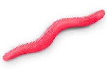 Delphin Umelá Nástraha B! StinxWORM 4 cm 50 ks - Fire / Cheese