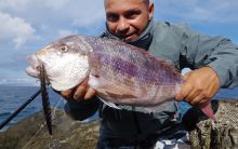 Savage Gear Wobler Deep Walker 2.0 Extra Fast Sinking Pink Barracuda PHP 17,5 cm 70 g (2)