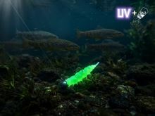 Delphin Umelá Návnada LARVO Syr 3 cm 0,5 g 15 ks (4)