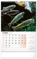 PGCZ Nástenný Kalendár Rybársky 2024 33x46 cm (4)