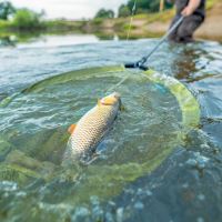Korum Podberáková Hlava Fast Net Head 26" (2)