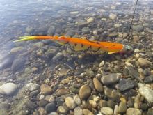 Black Cat Gumová Nástraha Cat Pelagic Yellow Zombie 27 cm 60 g (7)