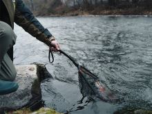 Delphin Prívlačový Podberák FoldSPIN 40x40 cm 70 cm (6)