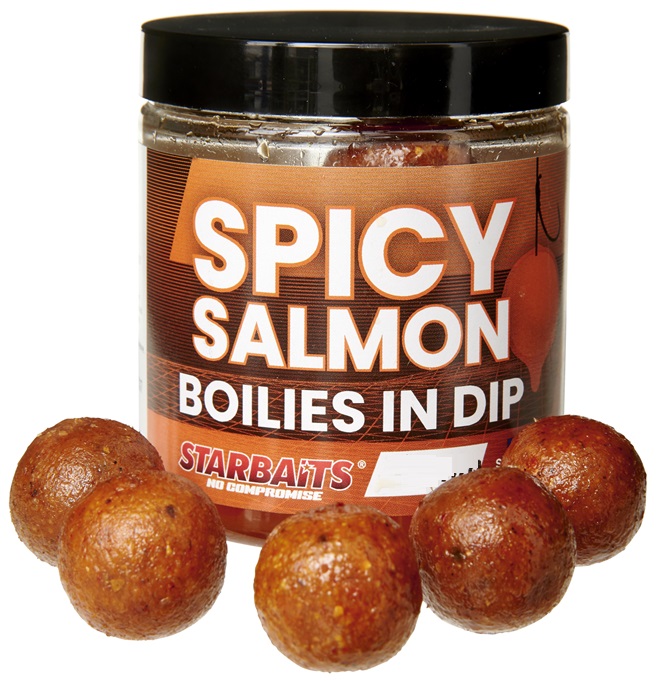 E-shop Starbaits boilies in dip concept spicy salmon 150 g - 24 mm