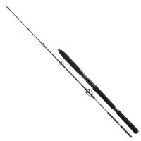 Daiwa Prút BG Jigger 1,70 m 150-400 g Daiwa Prút BG Jigger 1,70 m 150-400 g
