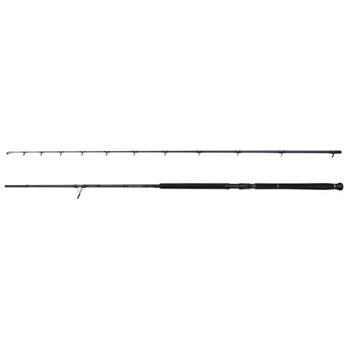 Savage Gear Prút Defiance SG2 Shore Jigging 3,05 m 60-150 g 2-Diel