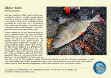 ČRS Puzzle Ostriež Riečny (1)