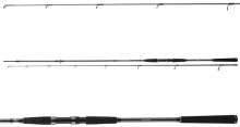 Daiwa Prút Seahunter X Seatrout 3,10 m 10-40 g (1)