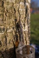 Korum Závesky Camo Safety Clip Kit QC 4 ks (4)