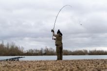 Avid Carp Prút React 10 ft 4,5 lb Utility (6)