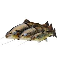 Savage Gear Gumová Nástraha 4D Linethru Trout Sinking Green Silver (1)