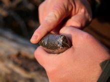 Giants Fishing PVA Sáčky Bags 10 ks (9)