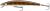 Daiwa Wobler Tournament Minnow Gold Lense