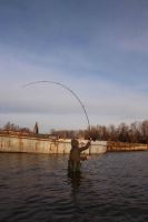 Nikl Prút Bond Girl Power Deluxe Cork 3,66 m (12 ft) 3 lb (9)