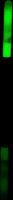 Zebco Plavák After Dark Snaplight Sensitive Float Kit (6)